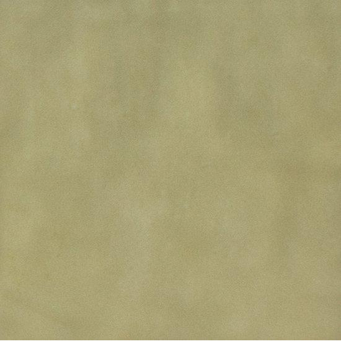Vtwonen Tegels Sweets Carrelage mural - 11,6x11,6cm - 8,5mm - Salvia SW1473845