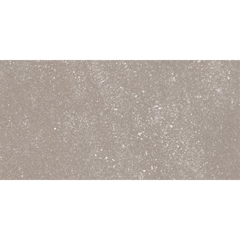 Ceralto Ivarno Core Vloertegel - 30X60 - 10mm - mat - zilver SW1578952