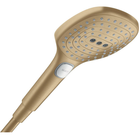 Hansgrohe Douchette à main SW1382899