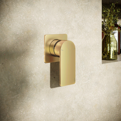 Hotbath Gal Afbouwdeel - voor Inbouwdouchemengkraan - PVD - geborsteld messing (goud) SW656071