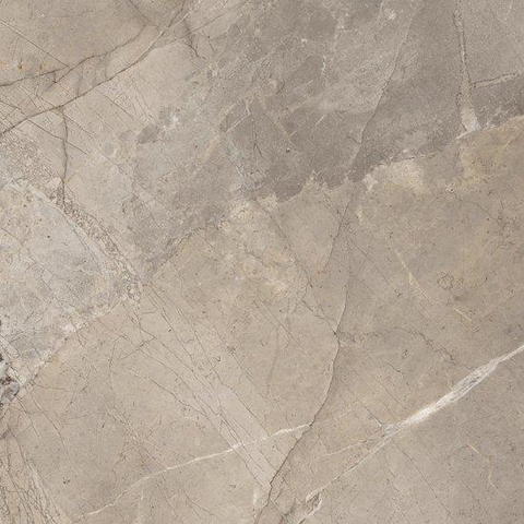 Ceralto Roccato Mineral Carreau de sol - 120X120 - 6.5mm - mat - greige SW1578928