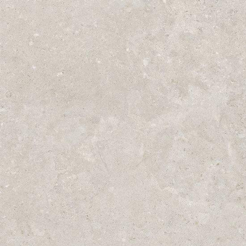 ÉCHANTILLON Ceralto Cavino R11 Carreau de sol 1000X1000 9mm Argent Mat Ret.R9 SW1449526