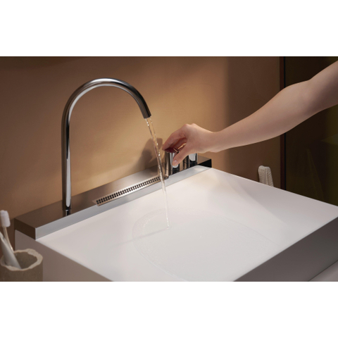 Hansgrohe Avalegra Wastafel / Fontein SW1387807
