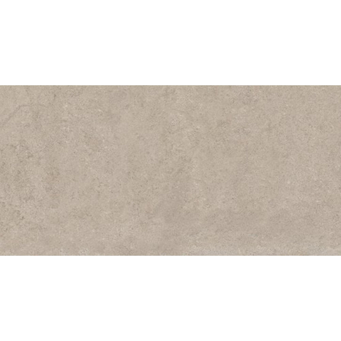 Ceralto Fiorno Mosaic Carreau de sol - 60x120cm - 9.5mm - rectifié - greige SW1117258