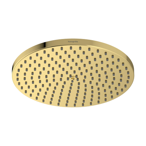 Hansgrohe Raindance S Douchekop SW1382823