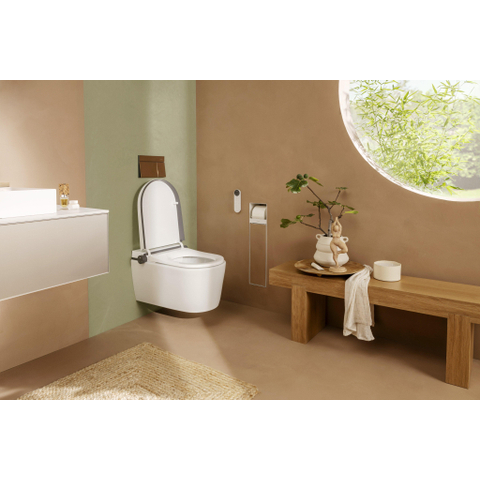 Hansgrohe IFrame Element E Drukplaatvoor - dualflush - brons SW1388329