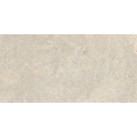 ÉCHANTILLON Terravito Larino Ivory mat 80x160 rett SW1221558