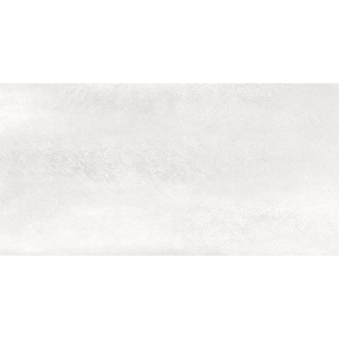 SAMPLE Ceralto Ferron Metal 305X605 Sync Ice SW1123112