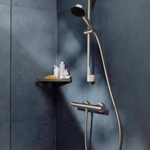 Hansgrohe Ecostat Fine opbouw douchethermostaat RVS-look SW1566541