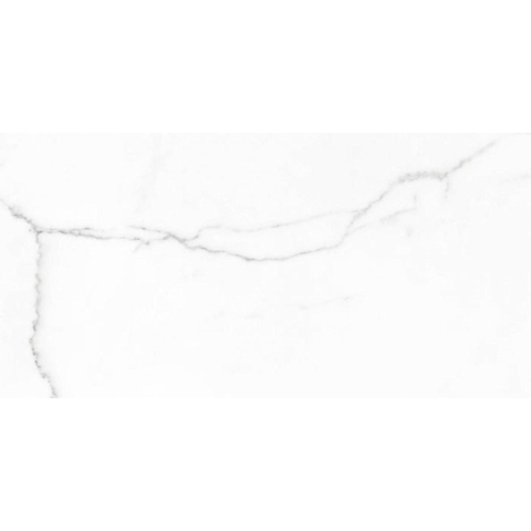 ÉCHANTILLON Terravito Alpuro carreau mural et de sol - 30x60cm - 9mm - Rectangulaire - rectifié - Effet marbre - Blanc/noir mat SW736282