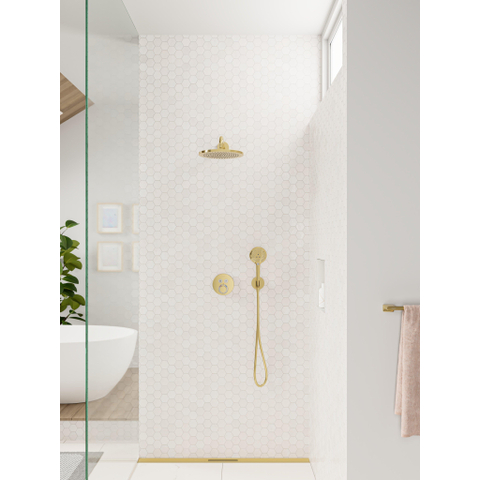 Hansgrohe Raindance Select S Handdouche 120 - 3jet - glans goud SW528748