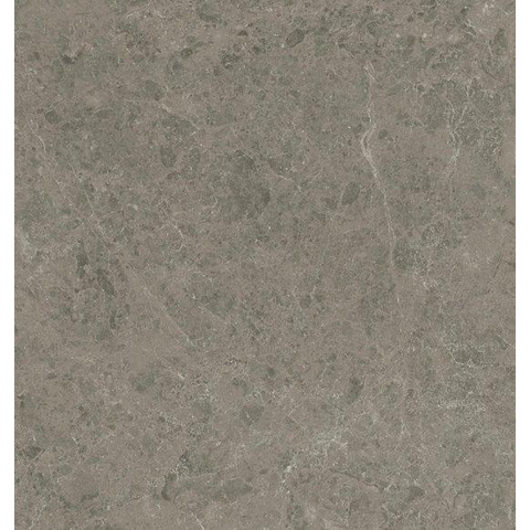 Ceralto Calisto Luxe Carreau de sol - 119.7x119.7cm - 9.0mm - rectifié - Grigio elegante SW1175239