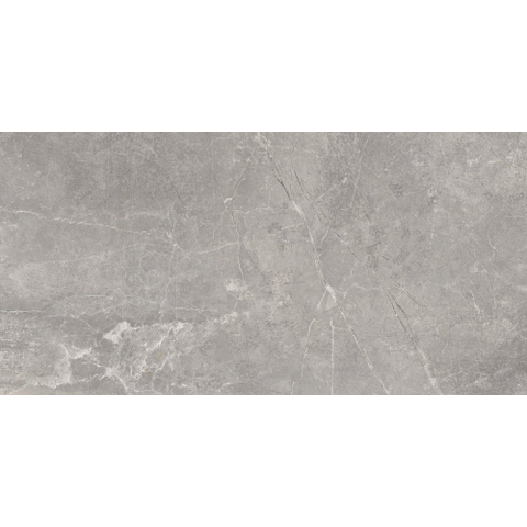 ÉCHANTILLON Terravito Unicoa carreau mural et de sol - 120x60cm - 9mm - rectifié - Gris SW1221672
