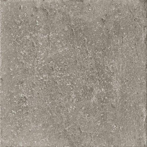 ÉCHANTILLON Ceralto Divaro Plank Carreau de sol - 80x80cm - 9.5mm - rectifié - gris SW912671