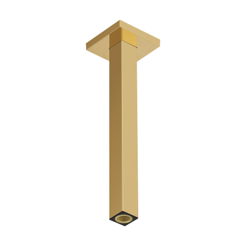 Hansgrohe Raindance alive Plafondaansluiting E - 300mm - gepolijst goud (goud) SW1388205