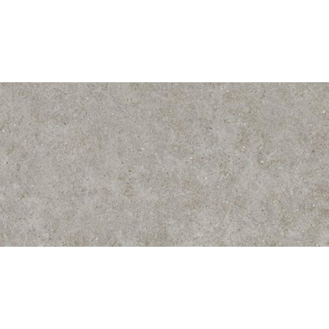 Ceralto Gravito Raw Carrelage de sol - 60x120cm - 9.0mm - rectifié - gris SW1245130