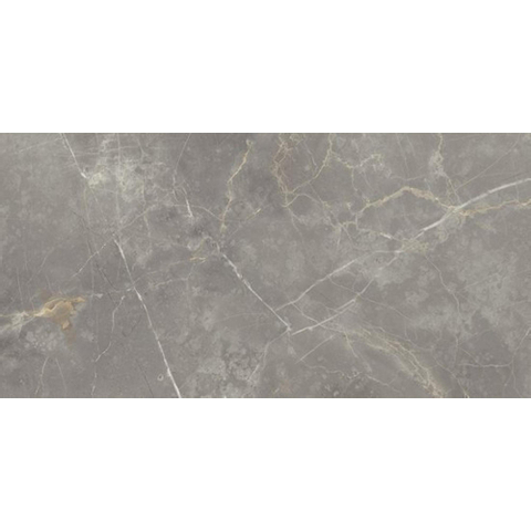 Vtwonen Classic Vloer- en wandtegel 30x60cm 10mm gerectificeerd porcellanato Grey SW367767