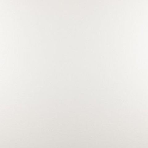 ÉCHANTILLON Ceralto Briano Accent Carrelage sol et mur 100x100cm 6mm rectifié R9 grès cérame White SW912626