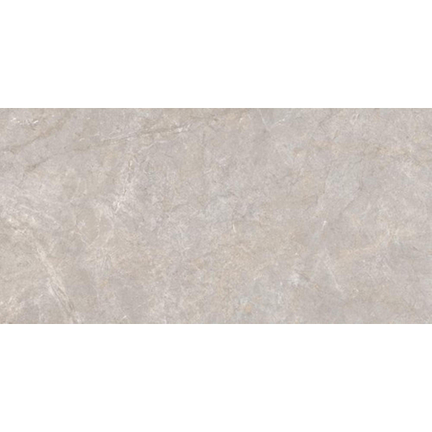 ÉCHANTILLON Ceralto Serrano Studio 600x1200 Steenrijk Grey Sand St 8.2Mm Mat Ret.R10 Grey SW1557738