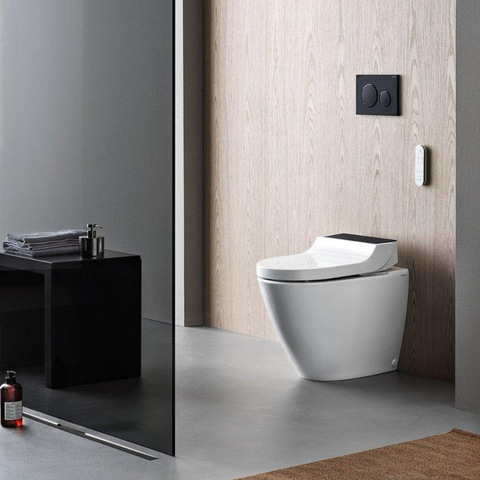 Geberit Sigma20 bedieningsplaat - 2-toets spoeling - rond - dualflush - mat zwart SW420200