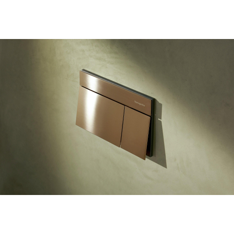 Hansgrohe IFrame Element E Drukplaatvoor - dualflush - brons SW1388329