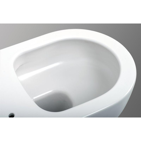 Plieger Kansas hangtoilet – Rimless – diepte 54,5 cm – met softclose zitting – glans wit SW643424