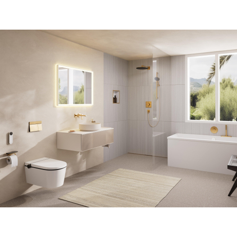 Hansgrohe Ecostat Comfort S mitigeur thermostatique encastré 2 fonctions bronze brossé SW1388470