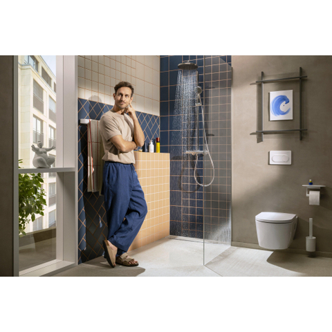 Hansgrohe Wallstoris Handdoekhaak - 1x3.9x3.3cm - 2 stuks - mat wit SW651478