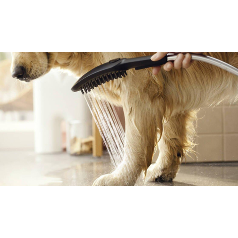 Hansgrohe Dogshower Handdouche - voor de hond - 150 - 3jet - met massagenoppen - mat zwart SW651010