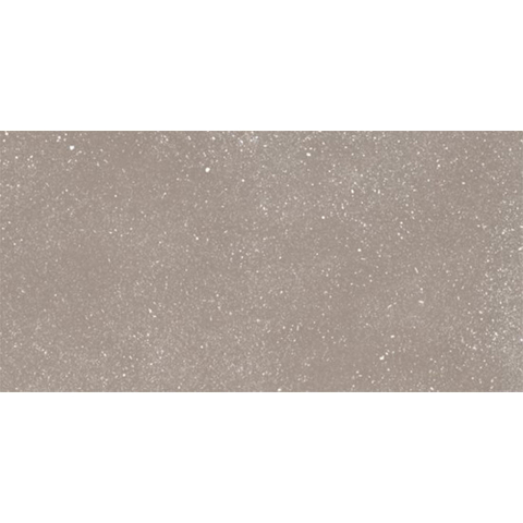 Ceralto Ivarno Core Vloertegel - 30X60 - 10mm - mat - zilver SW1578952