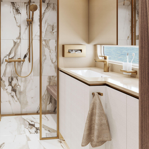 Hansgrohe Ecostat Comfort Douchekraan - thermostatisch - met koppelingen - thermostaat - geborsteld brons SW358654