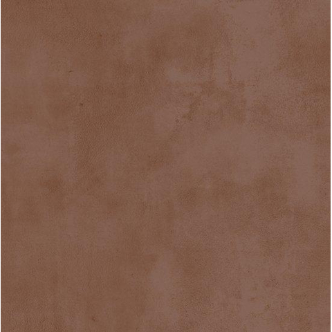 ÉCHANTILLON Ceralto Nobile Polished Carreau VL 600X600 9.5mm Terra Mat Ret.R10 SW1449490