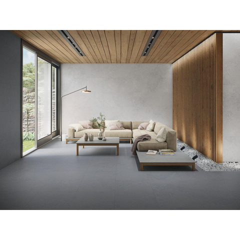 Terravito Allora carrelage mural et de sol - 60x60cm - rectifié - effet béton - Pearl mat (gris) SW1122806