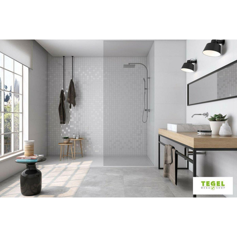 Terravito Velaro carreau mural - 5x60cm - Rectangulaire - 9mm - rectifié - effet béton - Glaciar SW159301