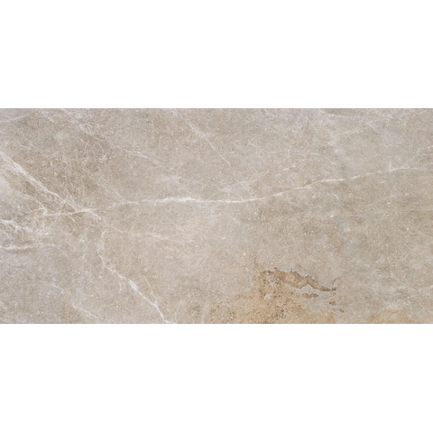 ÉCHANTILLON Terravito Hozino carreau mural et de sol - 59,5x120cm - 10mm - rectifié - gris SW1130889