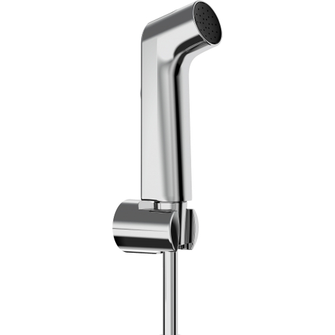Hansgrohe Bident - handdouche - 1jet - ecosmart - met douchehouder en hogedrukslang - 125 cm - chroom SW1418341