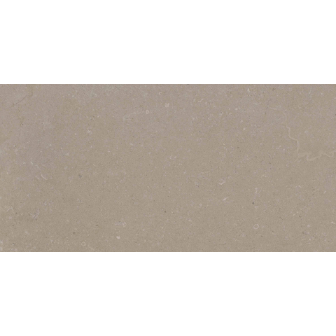 ÉCHANTILLON Terravito Selvico Carreau mural en céramique - 30x60cm - 8.5mm - Sand SW1579588