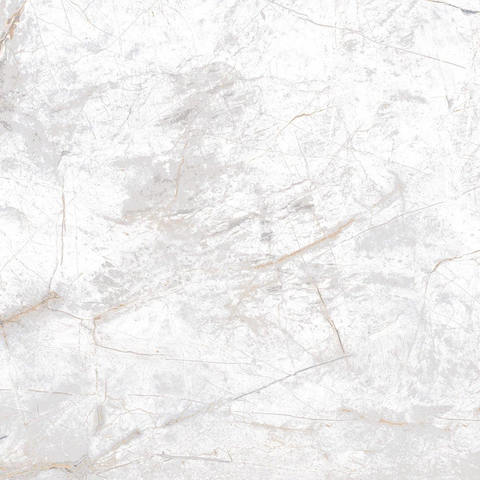 Edimax astor Golden age carreau de sol et de mur 60x60cm rectifié aspect marbre blanc mat SW545386