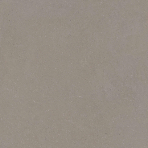 ÉCHANTILLON Terravito Selvico Carrelage parquet céramique mural et de sol - 120x120cm - 9mm - Greige SW1579572
