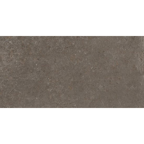 Ceralto Framel Carreau de sol - 29.7x59.7cm - 9.0mm - rectifié - Coffee SW1175127