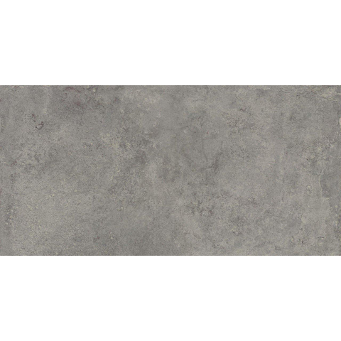 ÉCHANTILLON Terravito Sigillo carreau mural et de sol - 29,6x59,5cm - 8mm - rectifié - aspect béton - Gris SW1130865