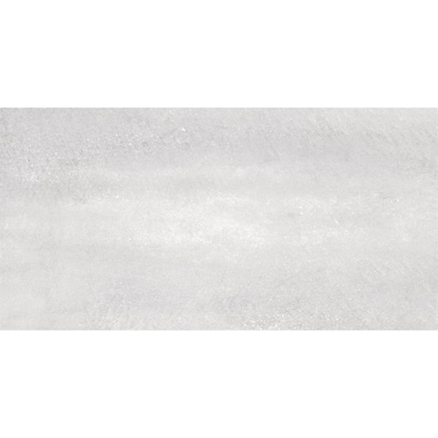 SAMPLE Ceralto Ferron Metal 305X605 Sync Steel SW1123113