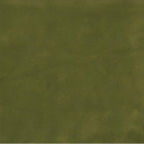 Vtwonen Carrelages Sweets Carreau mural - 11.6x11.6cm - 8.5mm - Muschio SW1473854