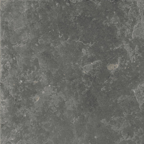 SAMPLE Ceralto Regalia Luxe 600X600 Fusion Mis.Black Nat. SW1122953