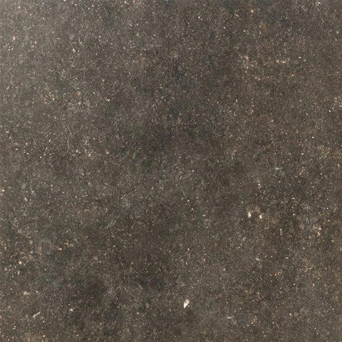 SAMPLE Ceralto Regalia Luxe 600X600 Elemental Desir Mat SW1122951