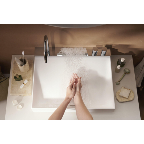Hansgrohe Avalegra Wastafel / Fontein SW1387807