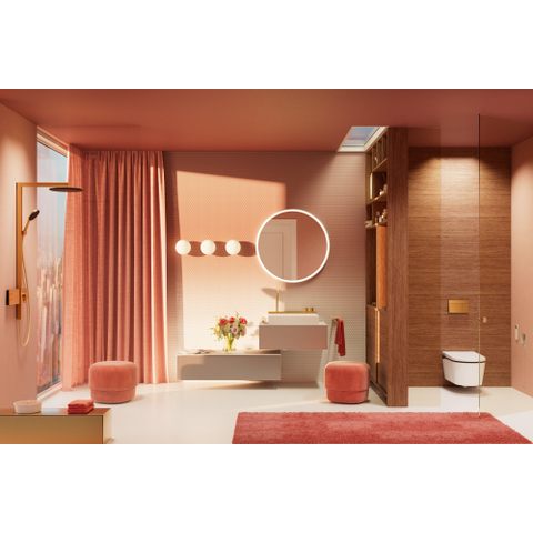 Hansgrohe iFrame Element E plaque de commande pour - double chasse - bronze brossé SW1388329