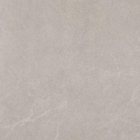 ÉCHANTILLON Ceralto Sylvaro Tone Carreau de sol et de mur 60x60cm 9mm rectifié R10 grès cérame Grey SW913249