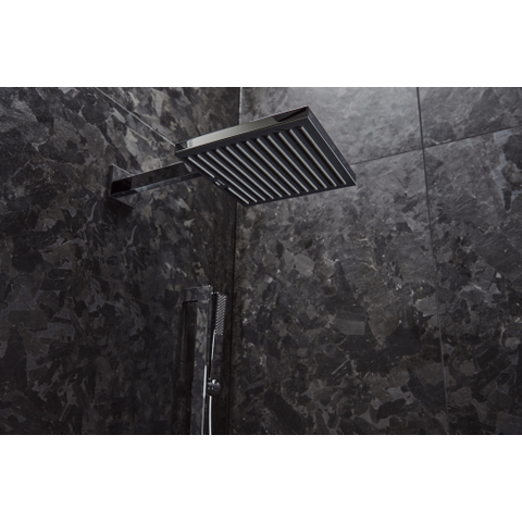 Hansgrohe Raindance alive Douchearm - 39cm - hoogglans chroom SW918054