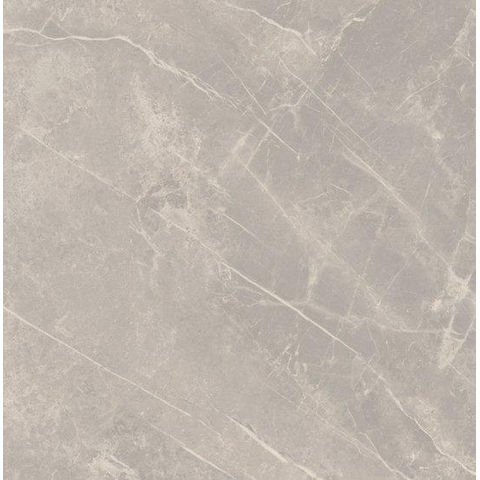 SAMPLE Ceralto Statuva Marble Vloertegel - 60x60cm - 9.0mm - gerectificeerd - Grey dolomia SW1474534